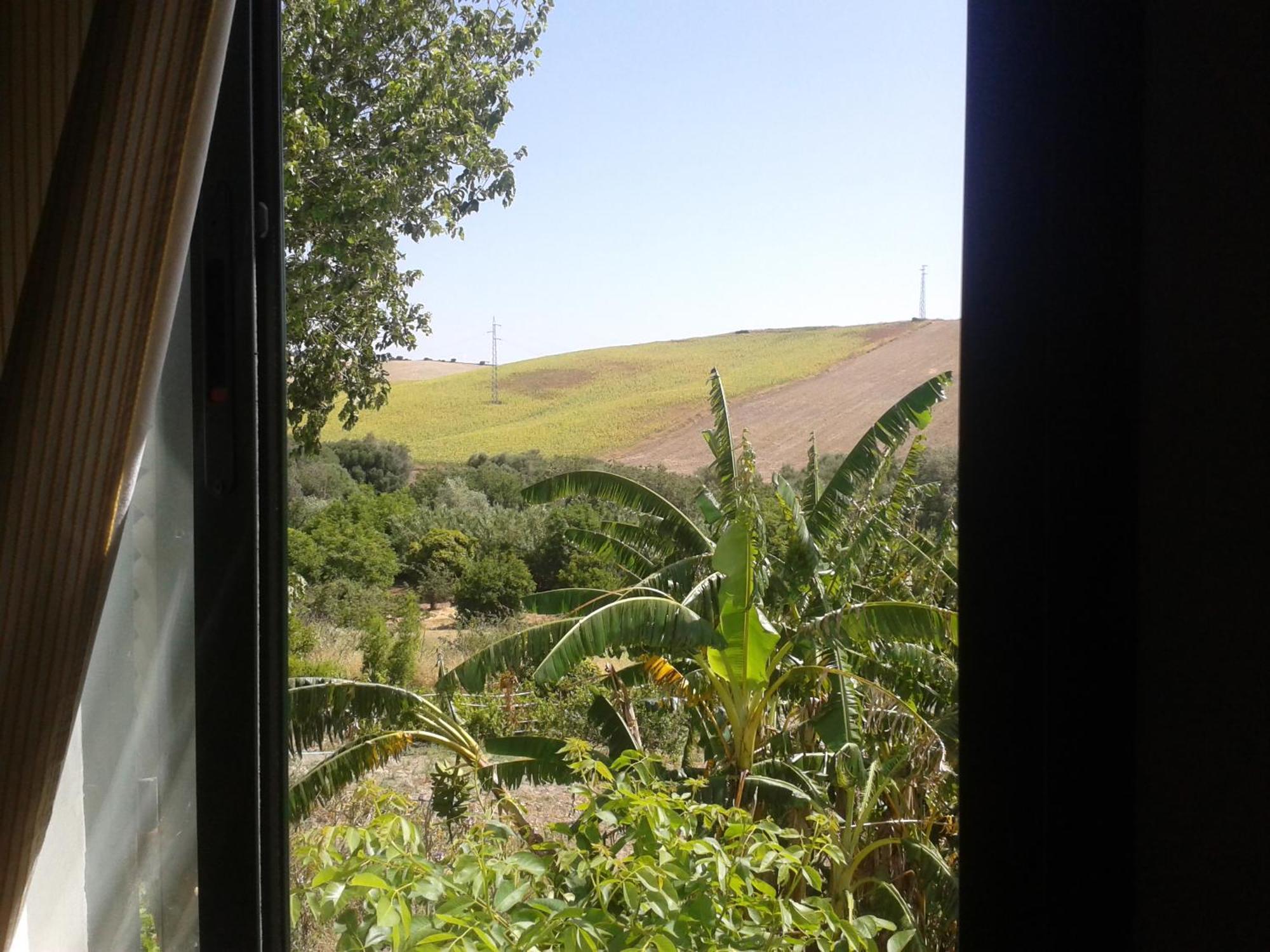 Casa Rural El Cubillo Vejer de la Frontera Dış mekan fotoğraf