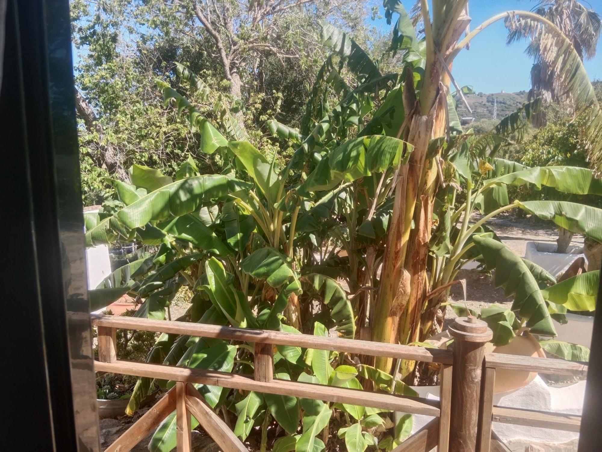 Casa Rural El Cubillo Vejer de la Frontera Dış mekan fotoğraf