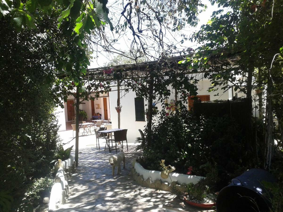 Casa Rural El Cubillo Vejer de la Frontera Dış mekan fotoğraf