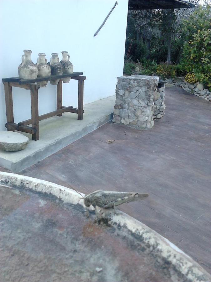 Casa Rural El Cubillo Vejer de la Frontera Dış mekan fotoğraf